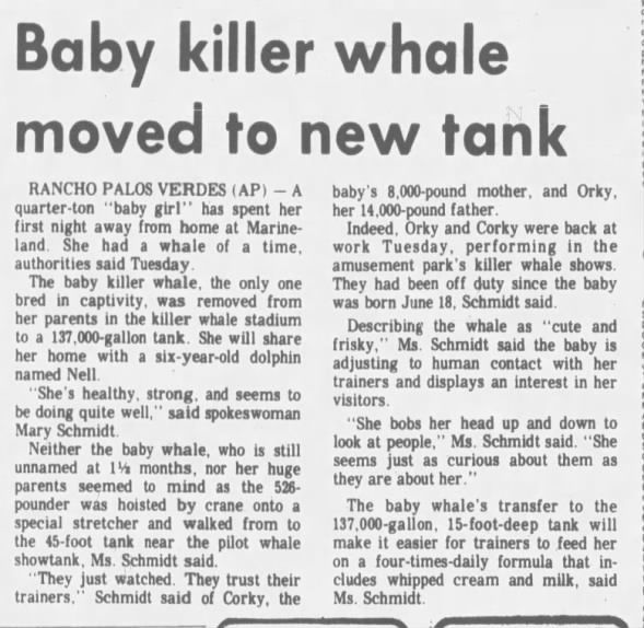 Clipping from Santa Maria Times